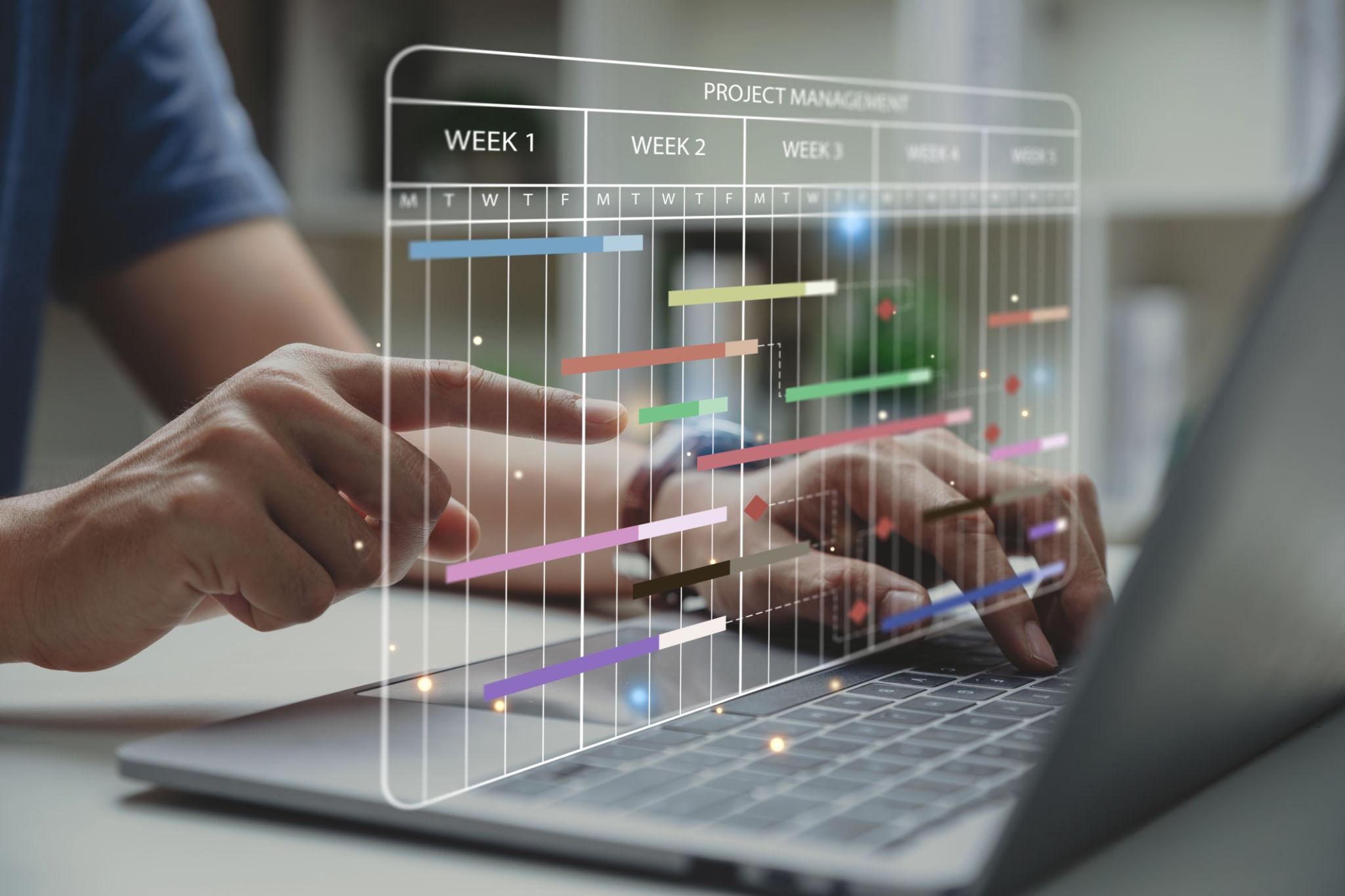 Project Management and Supply
